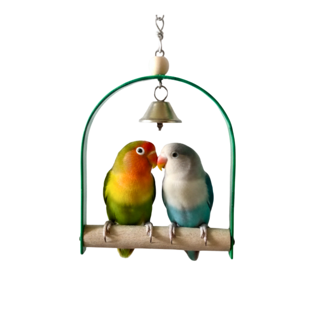 Interactive Metal Frame Bird Swing – Available in S, M, L, XL, 2XL Sizes