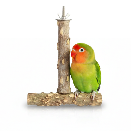 Durable Wooden T-Shape Perch Stand for Small Parrots - Natural Wood