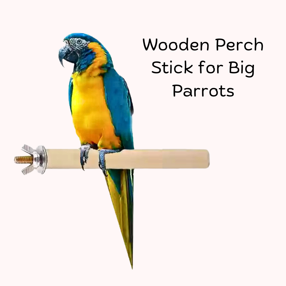 Wooden Perch Stick for Grey Parrot Cockaoo Macaw Raw Parrots