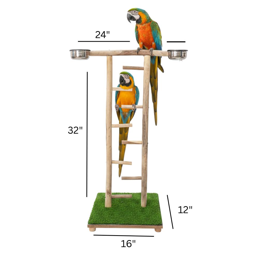 Wooden Bird Play Gym Stand with Climbing Ladder & Feeding Bowls