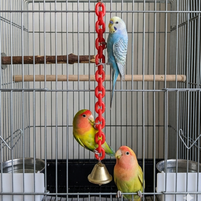 Interactive Hanging Chain-Link Toy with Bell for Budgies & Small Parrots