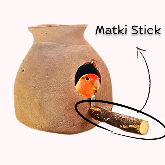 Natural Wooden Matki Stick / Box Stick for Budgies Lovebird Java Finches