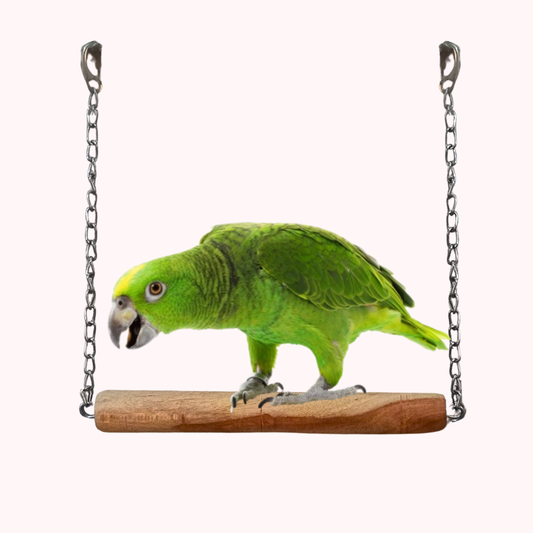 Bird Cage Swing Toy for Cockatoo African Grey Raw Parrots