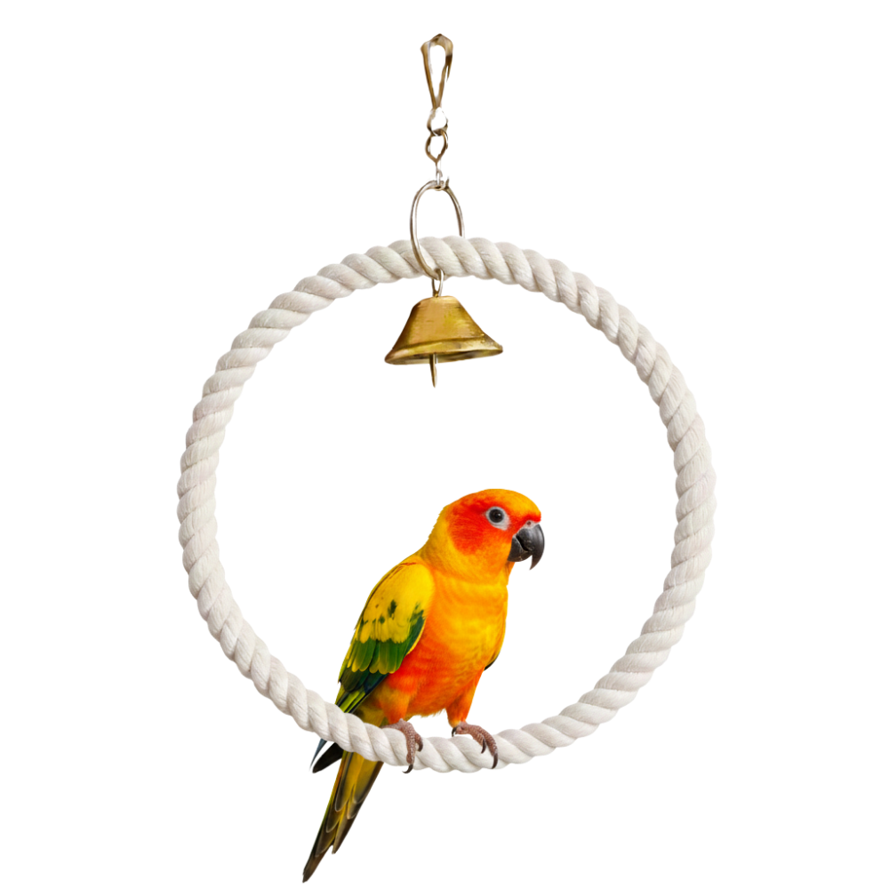Round Ring Toy with Musical Bell for Cockatiels, Conures, Ringnecks & Similar Parrots