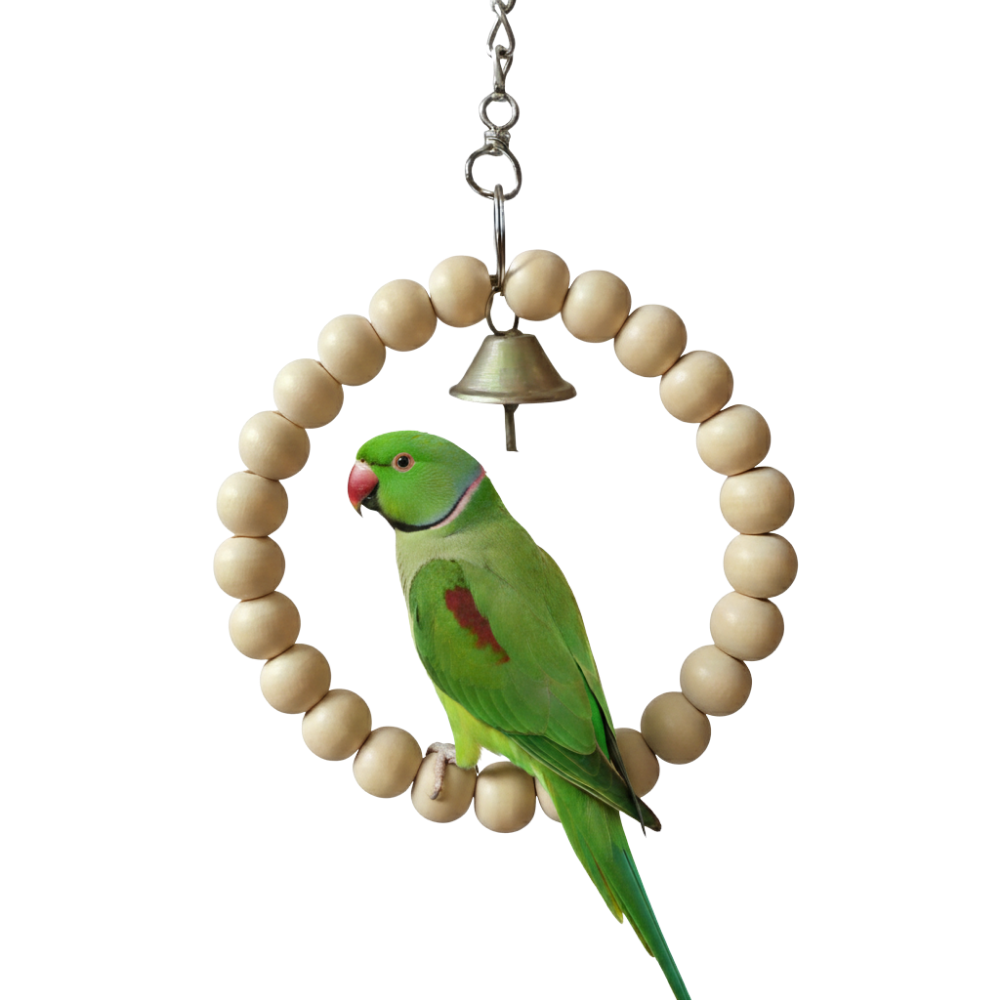 Eco-Friendly Round Bird Jhoola – Durable Circular Wooden Perch Swing