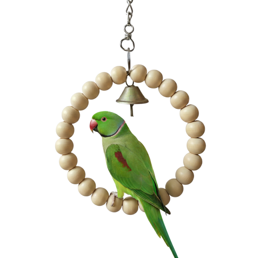 Eco-Friendly Round Bird Jhoola – Durable Circular Wooden Perch Swing