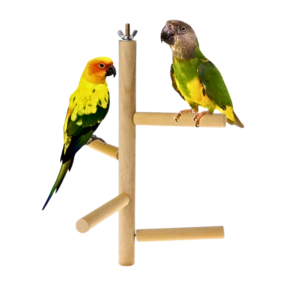 Wooden Bird Perch Stand - Multi-Level Branch Toy for Parrots & Conures