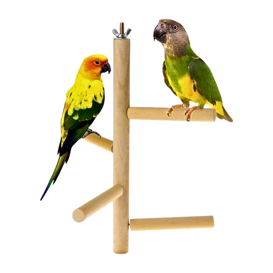 Wooden Bird Perch Stand - Multi-Level Branch Toy for Parrots & Conures