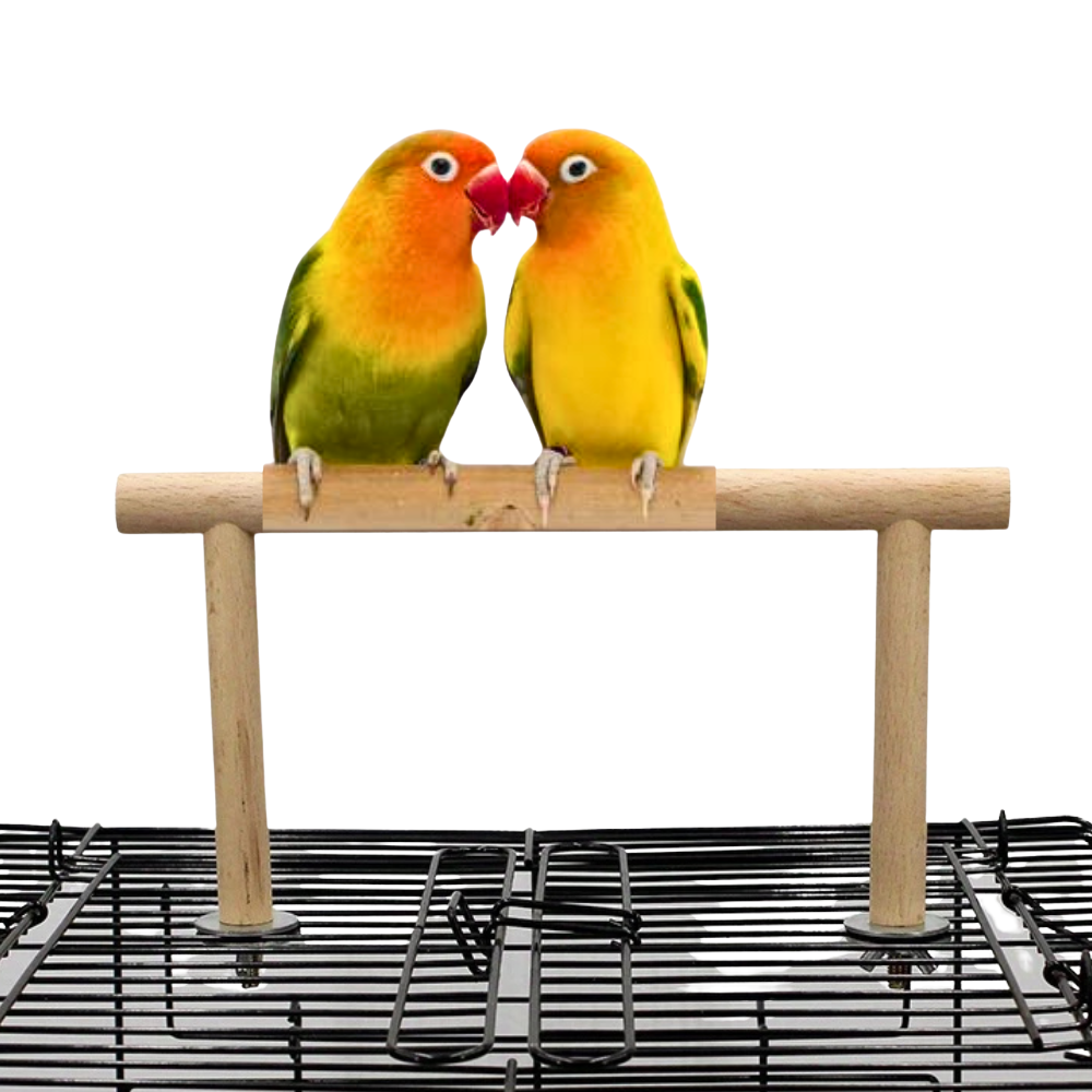 U-Stand Perch for Budgies Lovebirds & Small Birds - Easy Screw Mount