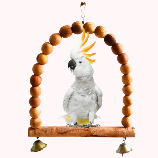 D-Shape Solid Wooden Swing Toy for African Grey Cockatoo