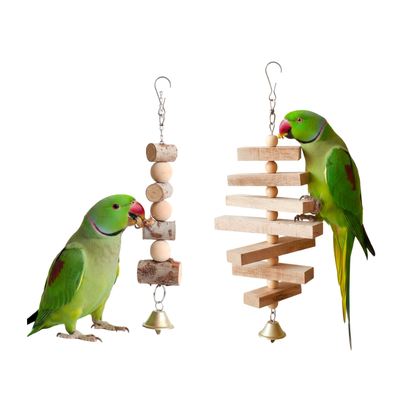 2 Pcs Birdy Bundle Pack for Cockatail Ringneck Raw African Grey