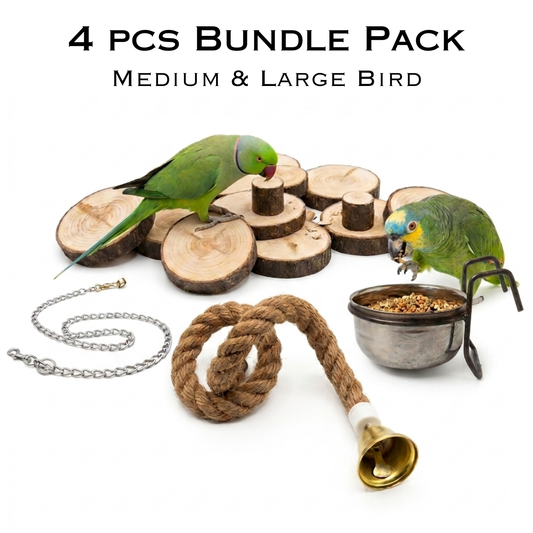 4 PCS Bundle Pack – Premium Toys & Feeding Accessories for Medium & Large Birds
