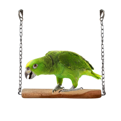 Heavy-Duty Large Bird Swing / Perch with Metal Chain