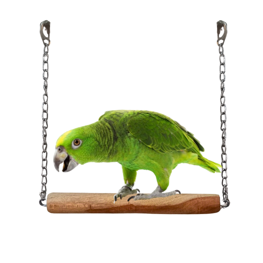 Heavy-Duty Large Bird Swing – Natural Wood Perch with Metal Chain