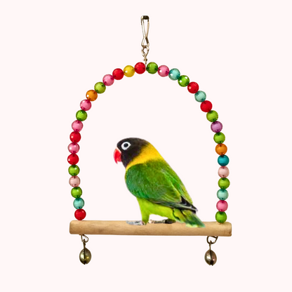 Colorful Attractive D-Shape Swing Toy for Budgies Lovebird Java etc.