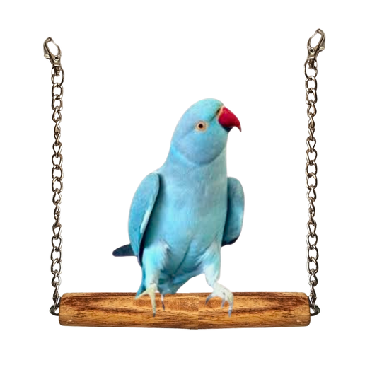 Natural Wood Bird Swing - Durable Hanging Perch for Cockateils & Ringneck Parrots