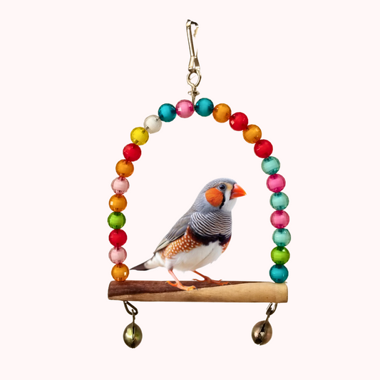 Colorful Attractive D-Shape Swing Toy for Finches
