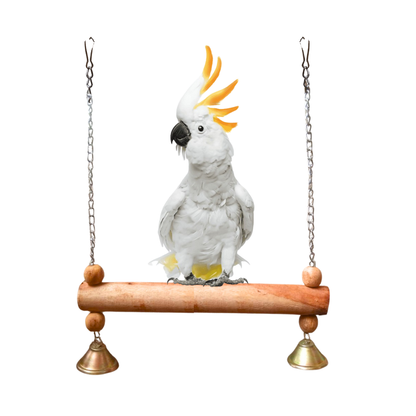 Wooden Bird Swing with Musical Bells – Durable Hanging Perch for Cockatoo & Large Parrots