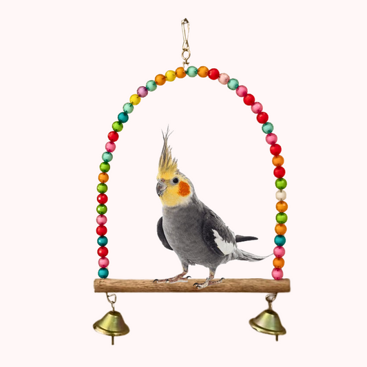Colorful Attractive D-Shape Swing Toy for Small & Medium Size Birds