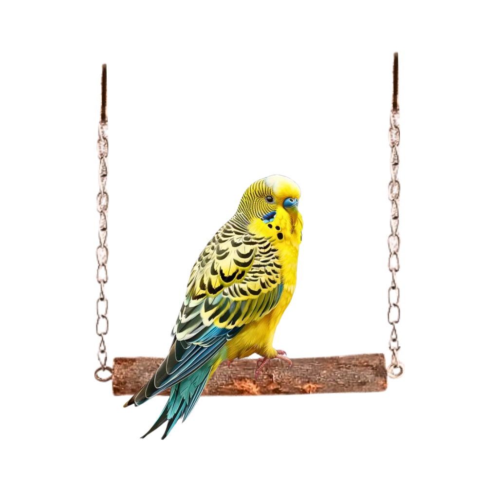 Stress-Relief Natural Wooden Parrot Swing - Non Toxic & Safe Small Bird Toy