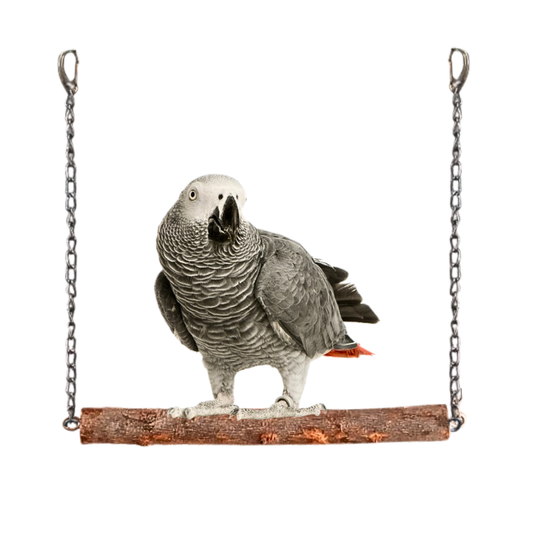 Non-Toxic Premium Wooden Swing Toy for African Grey Ringneck Raw Parrots