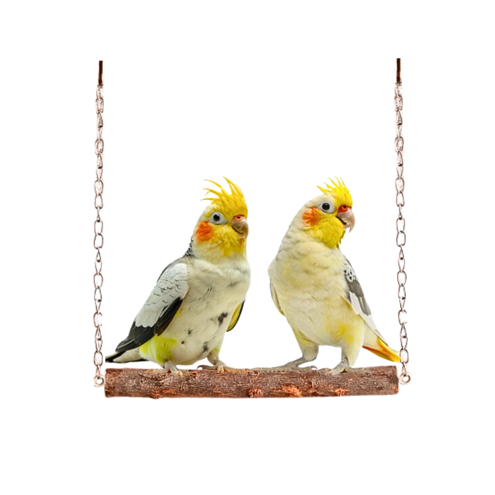 Playful Parrot Perch & Swing - Natural Wooden Toy for Birds