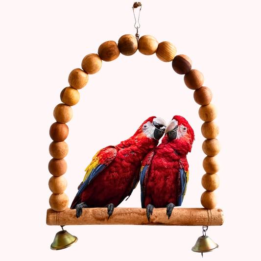 Extra Large D-Shape Wooden Swing Toy Perches for Macaws Cockatoo etc.
