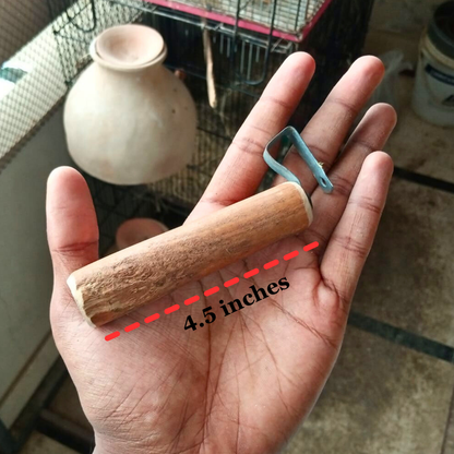 Wooden Matki Stick / Breeding Box Stick for Small Parrots