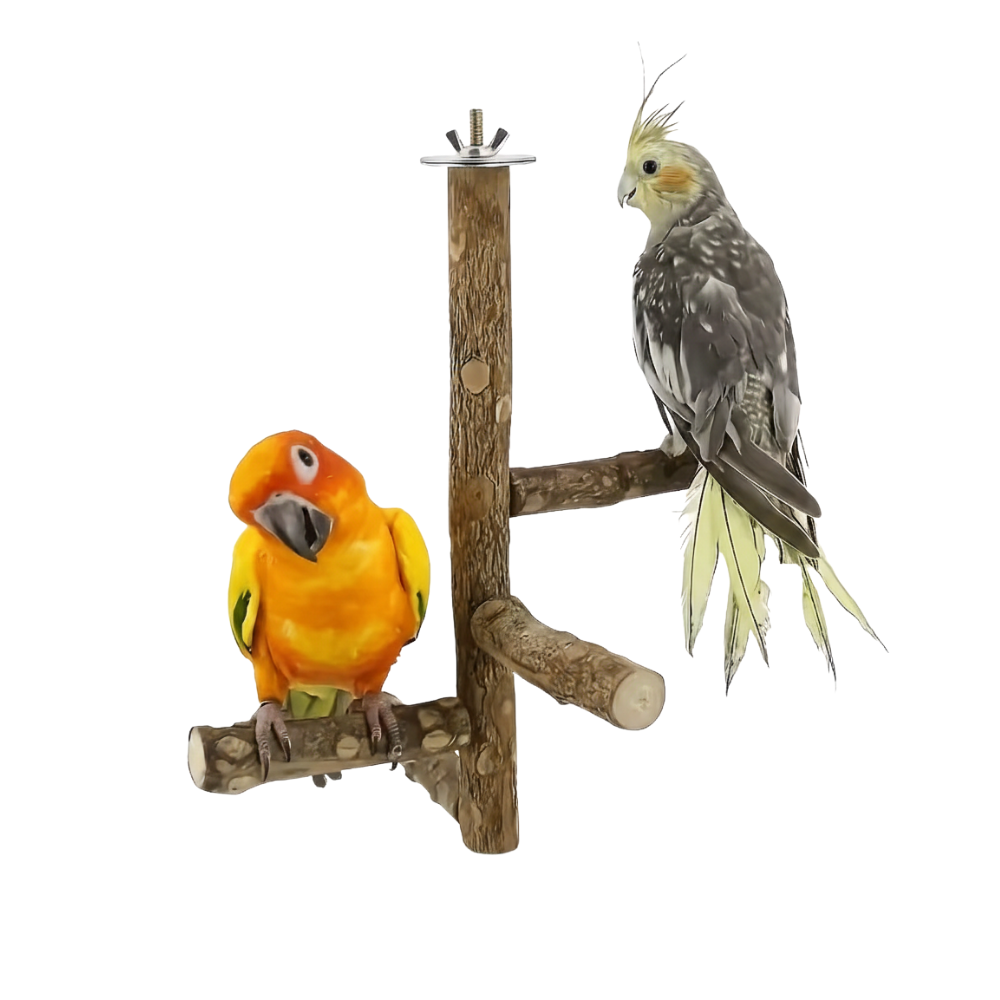 Wooden Bird Perch Stand - Multi-Level Tree Branch Toy for Parrots & Conures