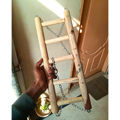 Birds Ladder Swing Toy for African Gray Macaw Cockatoos Raw Parrot