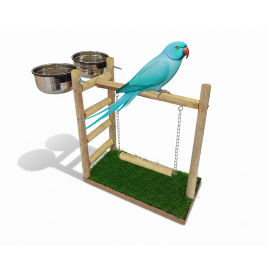 Premium Outdoor Bird Activity Stand with Swing, Exercise Ladder & Dual Feeding Bowls