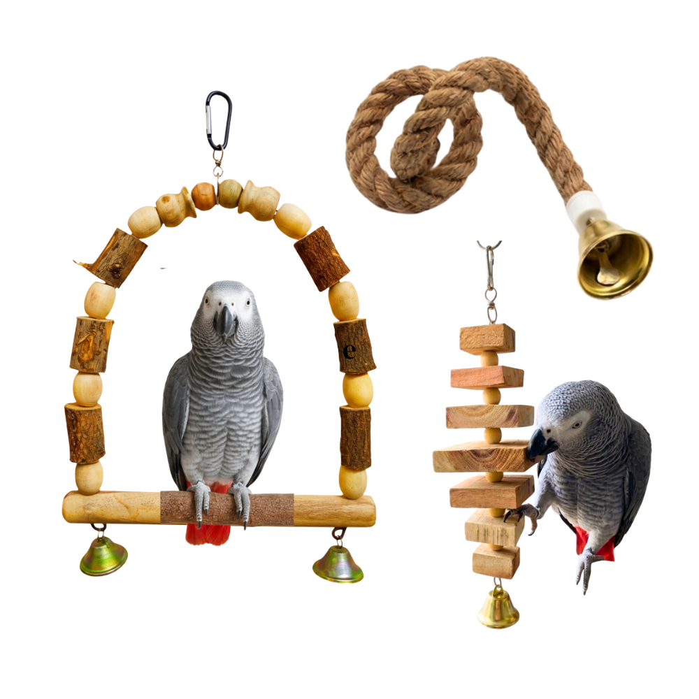 3 Pcs Birdy Bundle Pack for Cockatail Ringneck Raw African Grey Amazon
