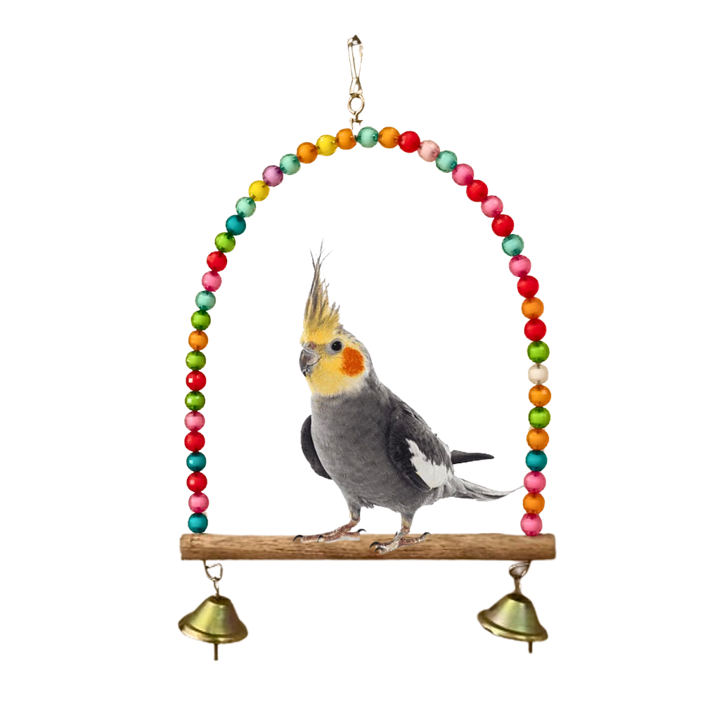 6 Pcs Birdy Bundle Pack for Budgies Lovebirds & Small Parrots