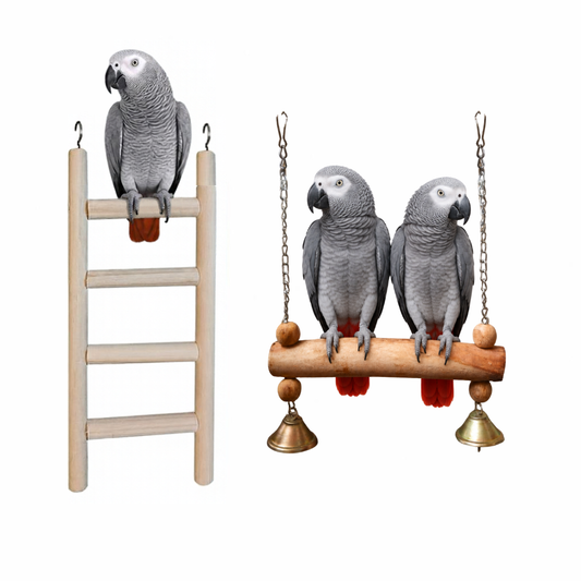 2 Pcs Birdy Bundle Pack for Ringneck Raw Amazon African Grey