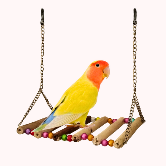 Cage Toy Perch Hanging Swing for Budgies Lovebird Family