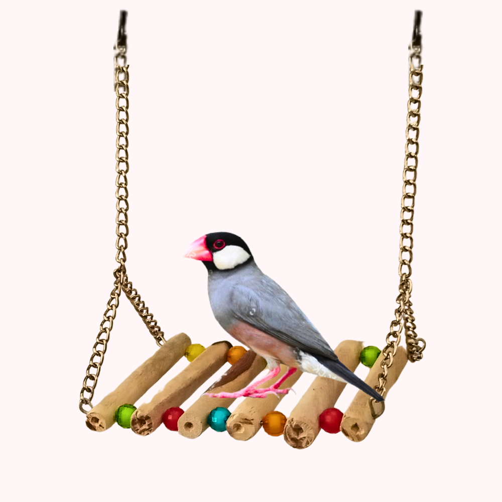 Cage Toy Perch Hanging Swing for Small Parrots