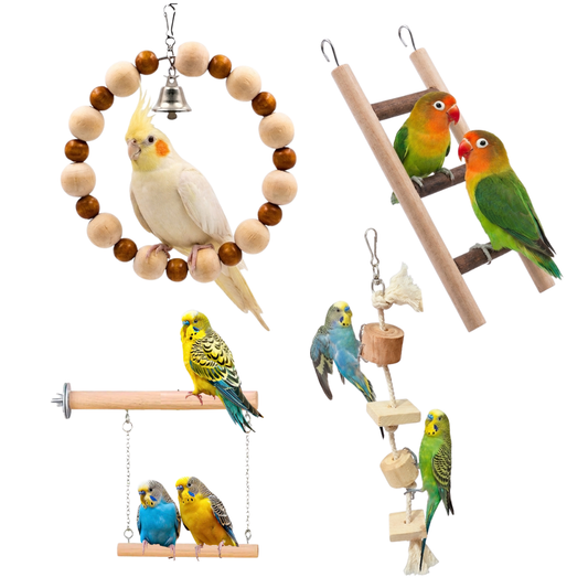 4 Pcs Birdy Bundle Pack for Cockatail Lovebirds Budgies & Small Parrots