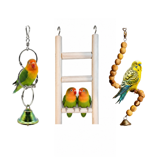 3 Pcs Birdy Bundle Pack for Budgies Lovebirds Canary Cockatail