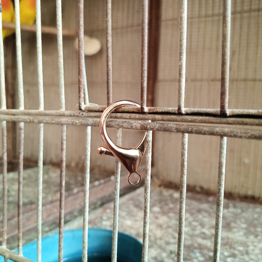 Golden Fancy Metal Cage Lock for Pet & Bird Cages