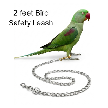 2 feet Bird Training Chain - Anti-Bite Stainless Steel Safety Leash for Parrots, Raw & Alexandrine
