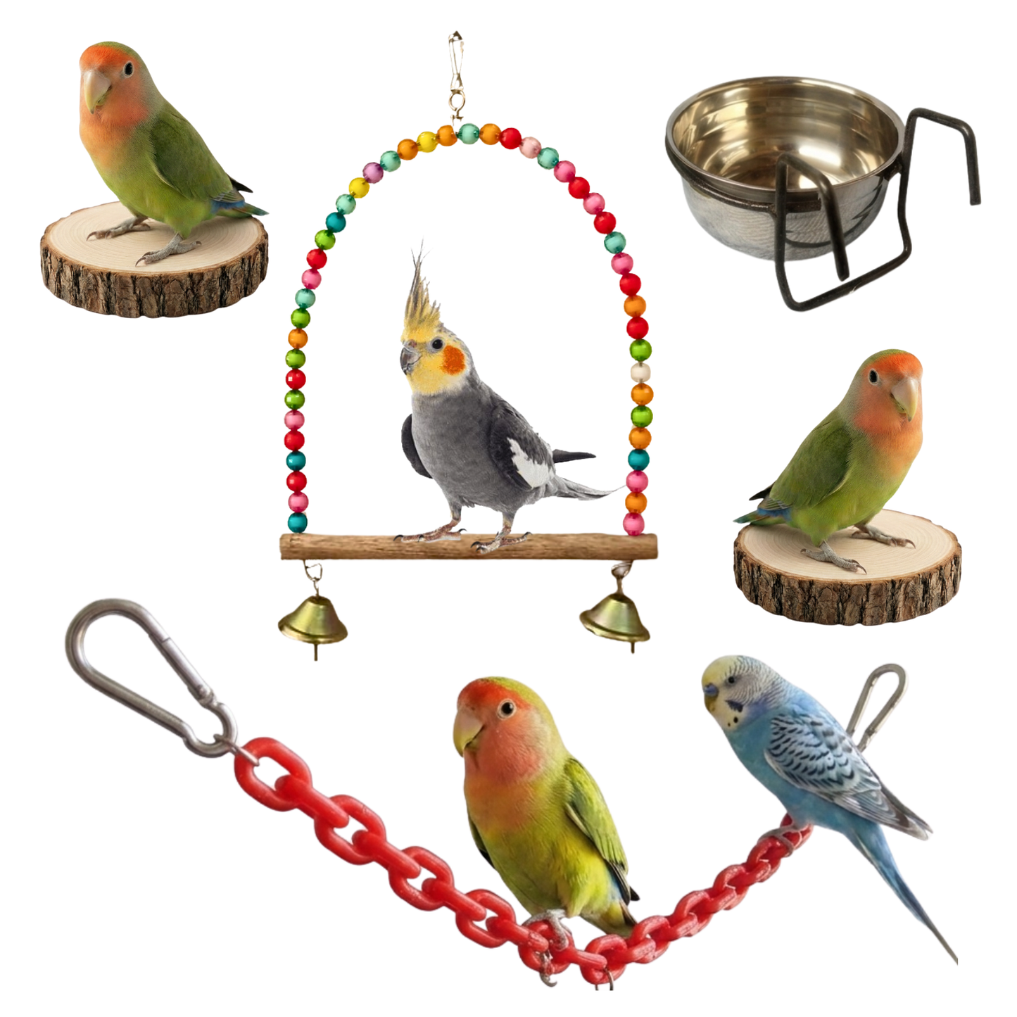 6 Pcs Birdy Bundle Pack for Budgies Lovebirds & Small Parrots