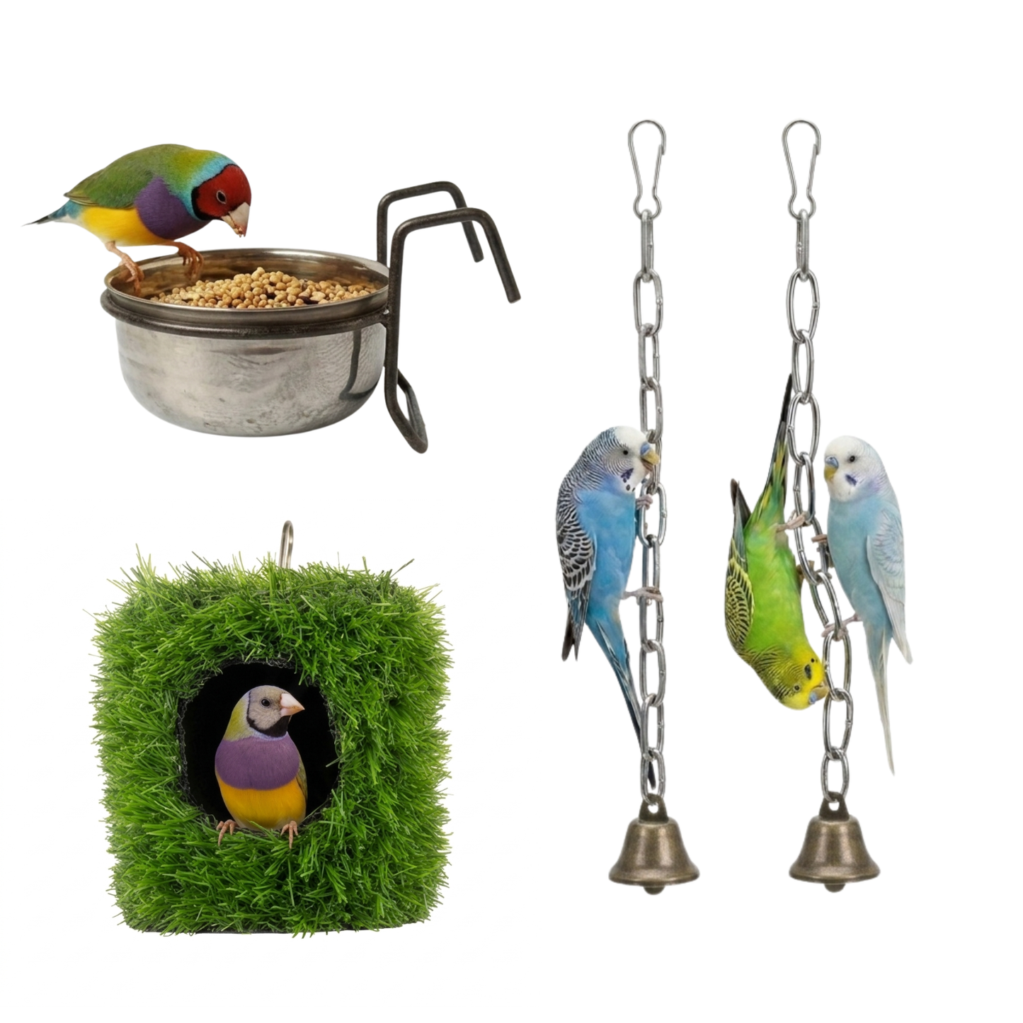5 Pcs Birdy Bundle Pack for Budgies Lovebirds & Small Parrots