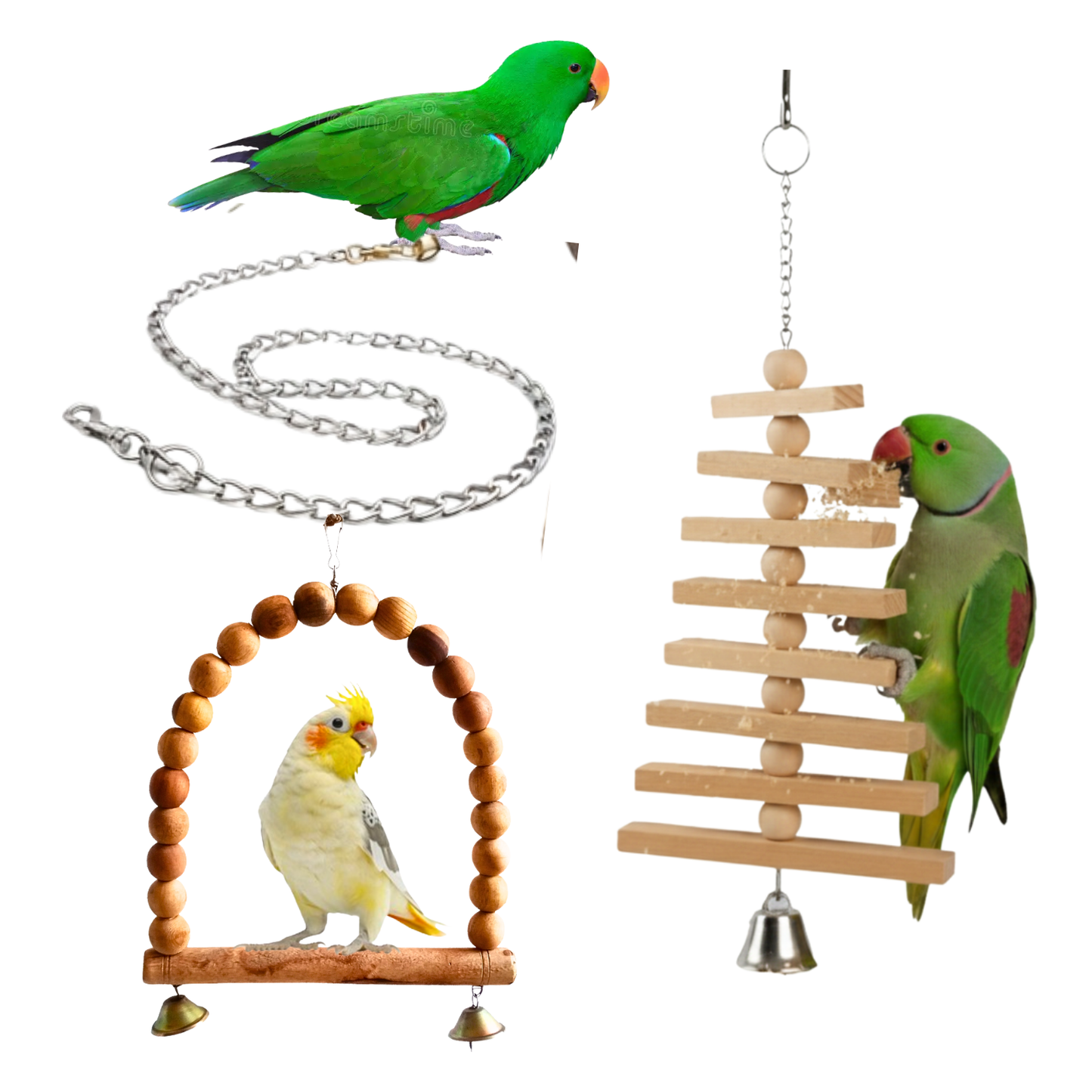 3 Pcs Birdy Bundle Pack for Ringneck Raw Amazon African Grey