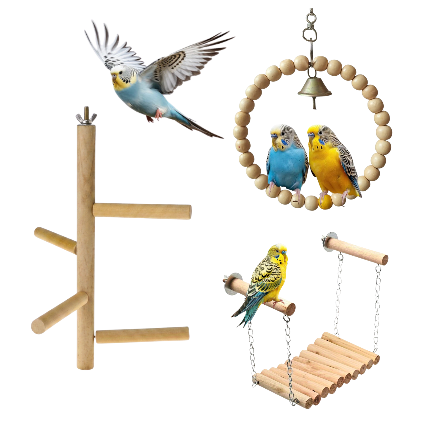 3 Pcs Birdy Bundle Pack for Budgies Lovebird & Small Parrot
