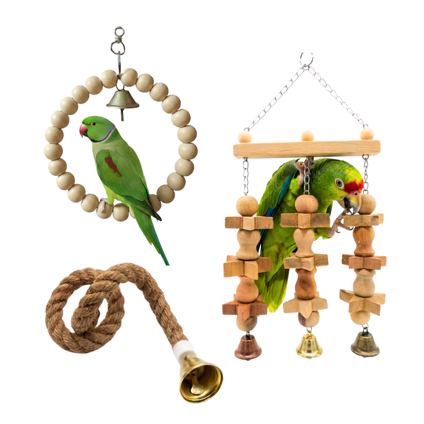 3 Pcs Birdy Bundle Pack for Ringneck Raw Amazon African Grey