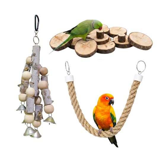 3 Pcs Birdy Bundle Pack for Sunconure Ringneck Amazon Parrots