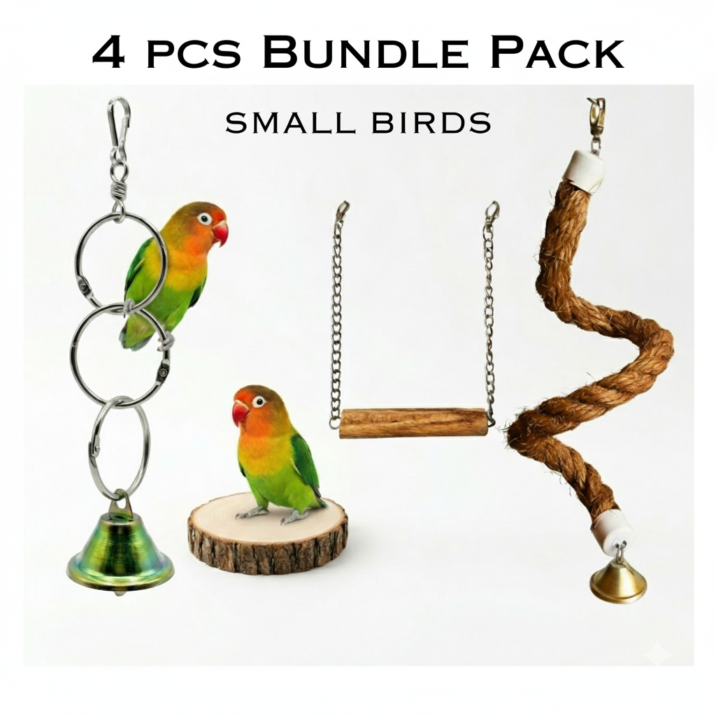 4 PCS Bundle Pack – Premium Bird Accessories for Budgies & Lovebirds