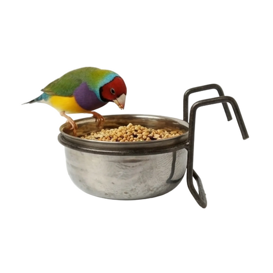 6 Pcs Birdy Bundle Pack for Cockatail Lovebirds & Small Parrots