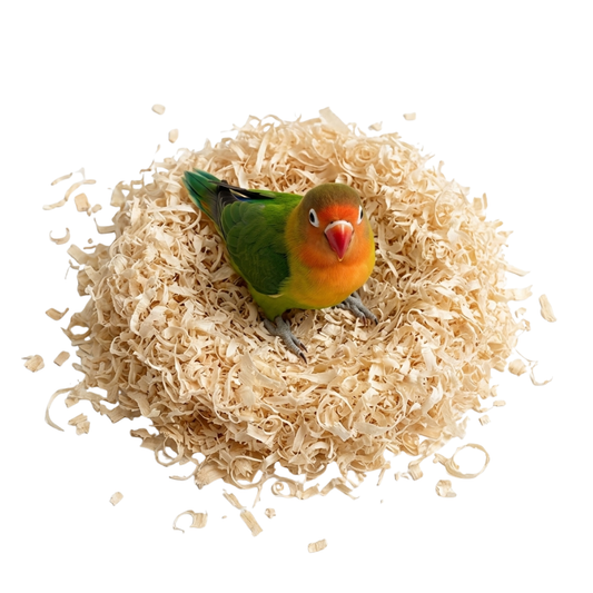 Wood Shave Bird Nesting Material – Premium Soft Bedding for Breeding Birds