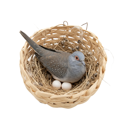 Half Covered Bamboo Nest for Doves & Canaries - Hangable Birds Breeding Basket
